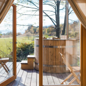 Fenêtres en bois sur mesure : inspirations pour tous les styles