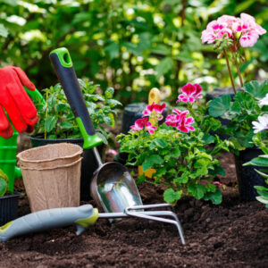 Jardinage simplifié : faites appel à un service à domicile pour gagner du temps !