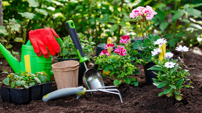 Jardinage simplifié : faites appel à un service à domicile pour gagner du temps !