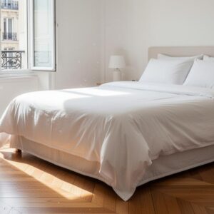 Service de dératisation et traitement des punaises de lit à Paris 15 : budgétiser votre intervention